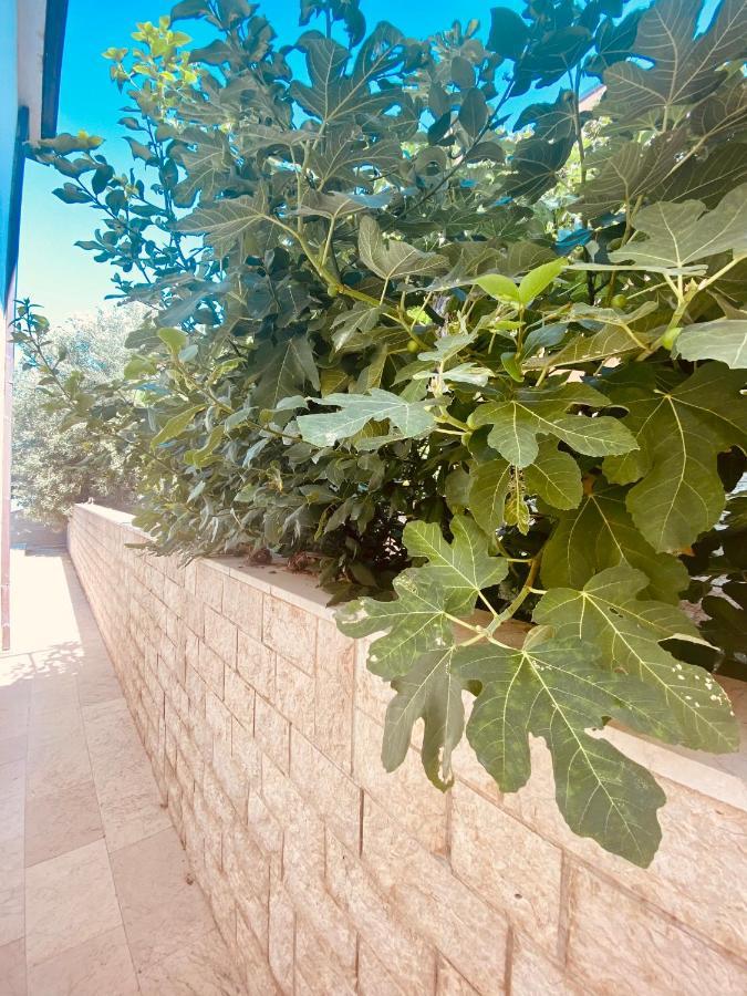 Hotel Buenavista Beach House Trogir Mastrinka Esterno foto